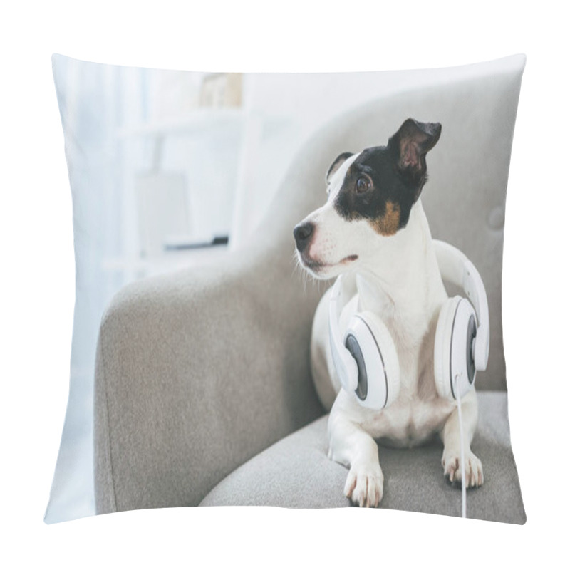 Personality  Dog Pillow Covers