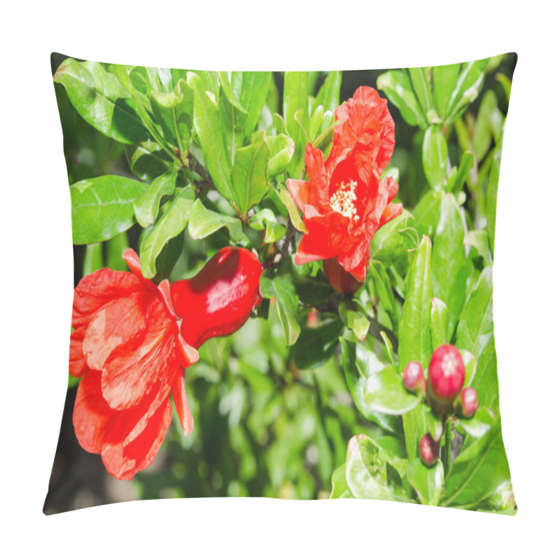 Personality  Vivid Red Spring Pomegranate Blossom Pillow Covers