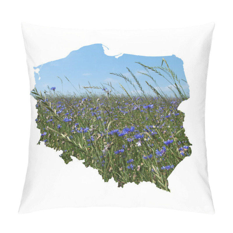 Personality  Map Of Poland Filled With Cornflowers Meadow Pillow Covers