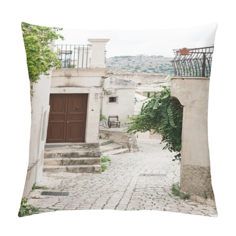 Personality  Paving Stones On Road Near Plants And Buildings In Italy  Pillow Covers