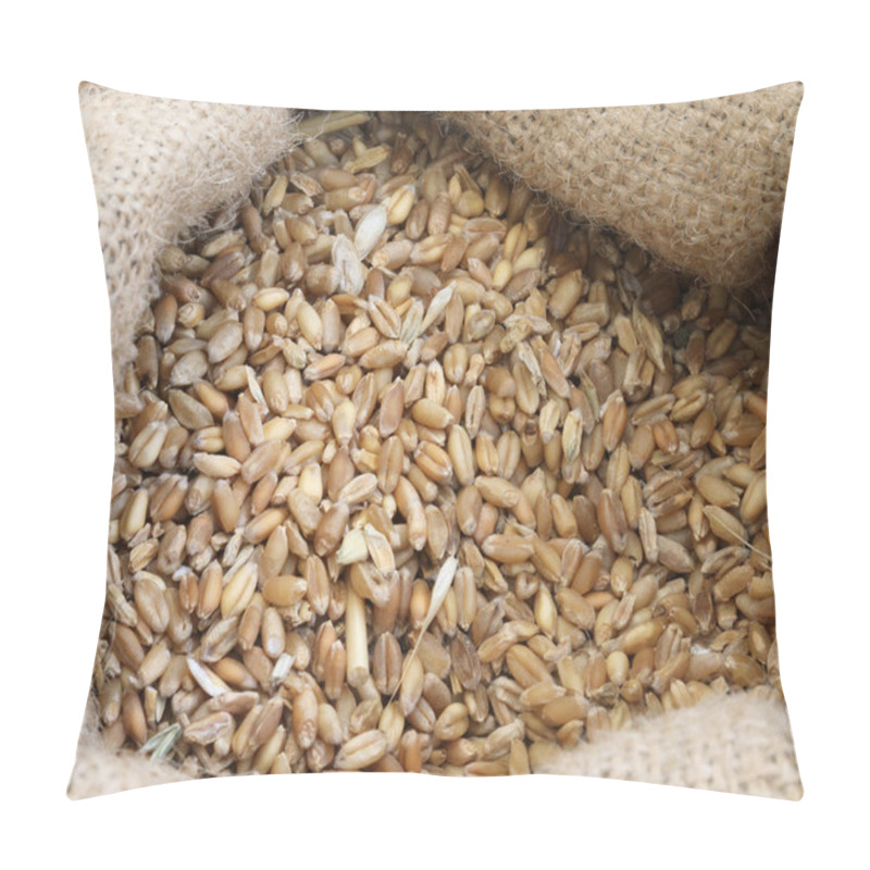 Personality  Burlap Bag With Many Varieties Of Seed Of Ancient Grains Pillow Covers