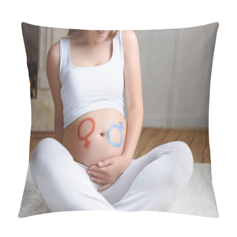 Personality  Pregnant Woman With Boy Or Girl Symbols Pillow Covers