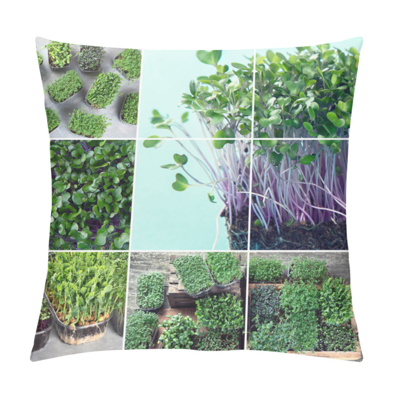 Personality  Collage Of Mixed Microgreens. Healthy Food Concept. Pillow Covers