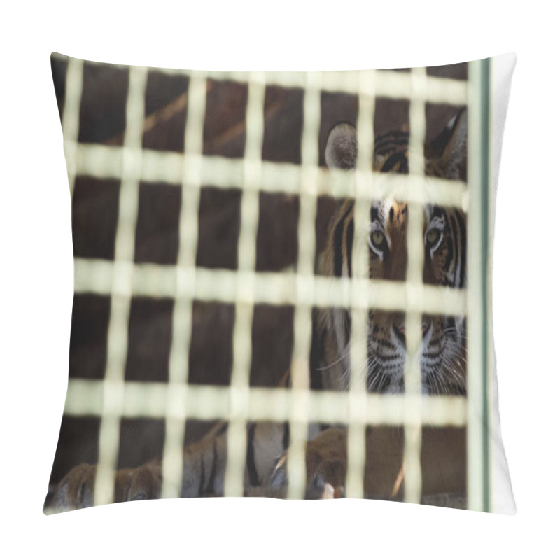 Personality  Dangerous Tiger Looking At Camera Through Cage With Blurred Foreground  Pillow Covers