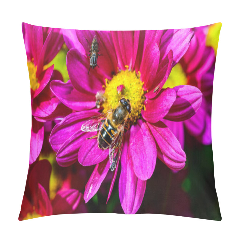 Personality  Batman Hoverfly - Myathropa Florea,  Flower Fly Hoverfly Collects Nectar On Autumn Flowers Chrysanthemum  Pillow Covers