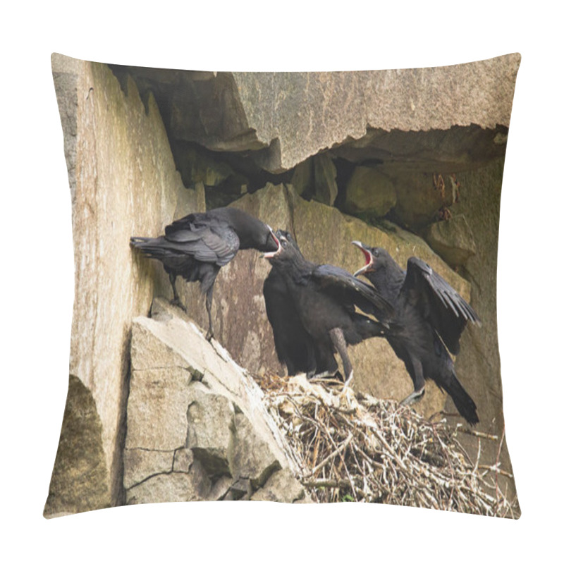 Personality  Adult Common Raven Feeding Chicks On A Nest In Rocky Cliff Pillow Covers