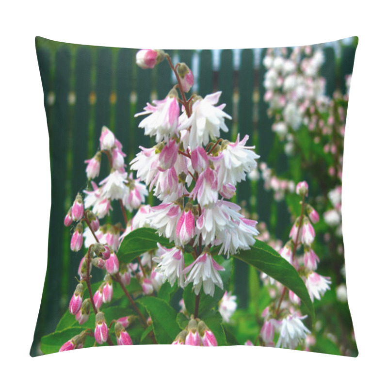 Personality  Beautiful Shrub Deutzia Blooms In The Spring Garden Pink Small Flowers Pillow Covers