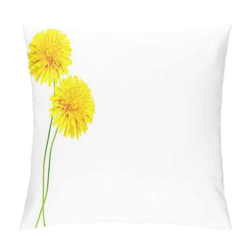 Personality   Dandelion Flower Isolated On White Background. Pillow Covers