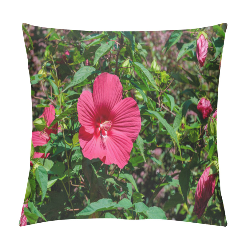 Personality  Red Hibiscus Moscheutos Flowers Blooming In Summer In The Garden. Pillow Covers