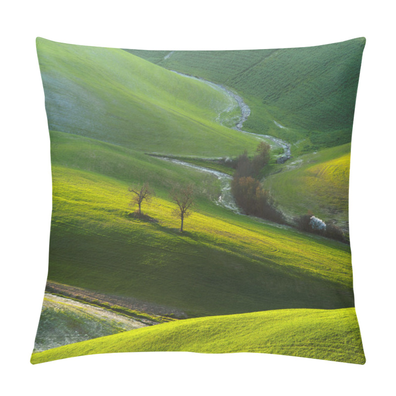 Personality  Tuscan Green Spring At Sunset, Italy Pillow Covers