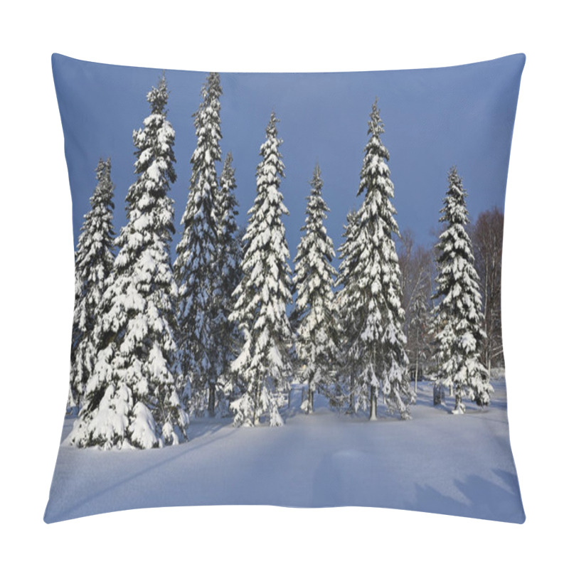 Personality  A Pristine Winter Landscape Featuring A Row Of Tall, Snow-covered Evergreen Trees Under A Clear Blue Sky. The Untouched Snow Blankets The Ground, Casting Long Shadows From The Trees, Creating A Serene And Tranquil Winter Scene. The Vivid Contrast Bet Pillow Covers