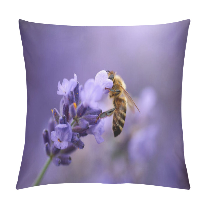 Personality  Bee Collects Nectar On Lavender Flowers Pillow Covers