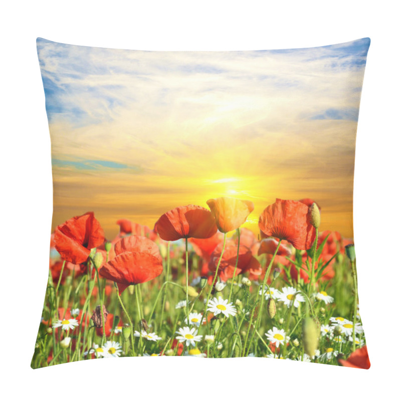 Personality  Fantastic Landscape With Poppies And Daisies In A Field In The S Pillow Covers