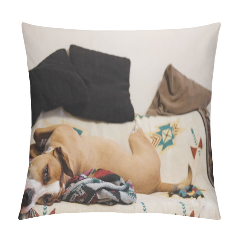 Personality  Relaxed Dog Feeling Safe On The Couch.  Pillow Covers