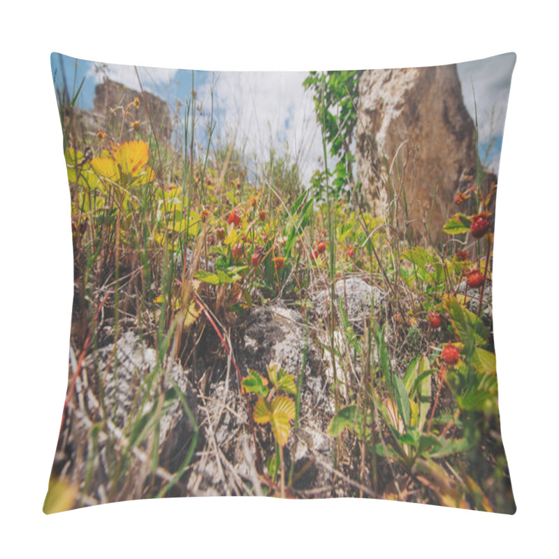 Personality  Small Red Wild Strawberries Grow On The Branches. Wild Strawberries Growing On The Mountain Slope.  Wild Strawberries Growing In A Natural Environment. Ripe Berry Growing On The Stone. Pillow Covers