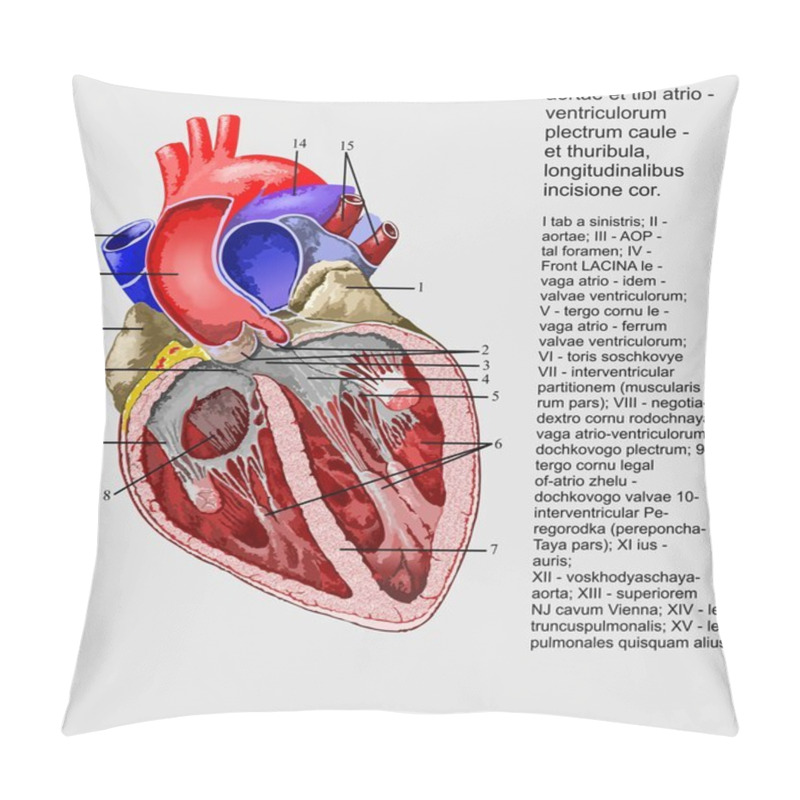 Personality  Heart Pillow Covers