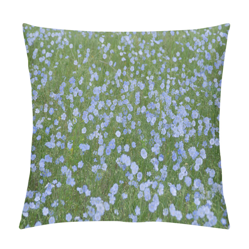 Personality  Mother Of Thousands Pillow Covers