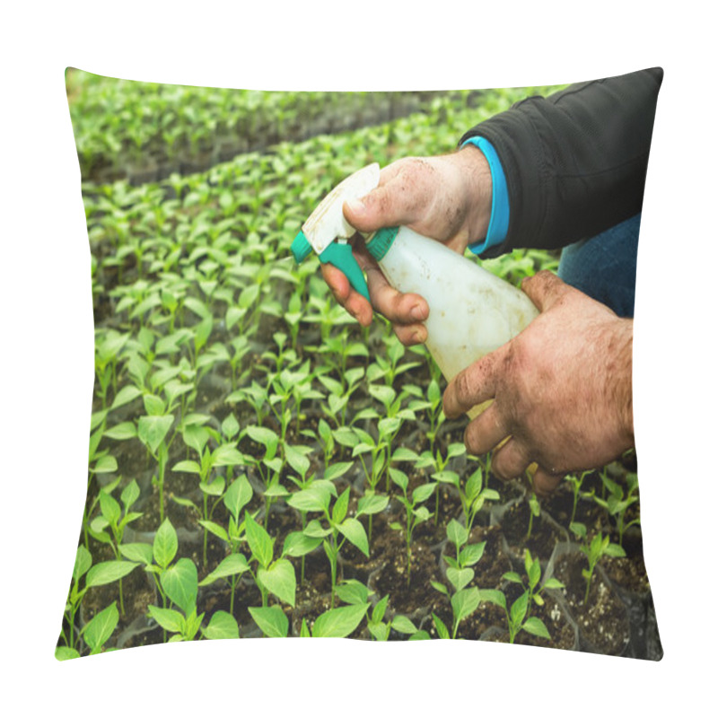 Personality  Close Up In The Hands Of A Man While Spraying The Small Plants I Pillow Covers