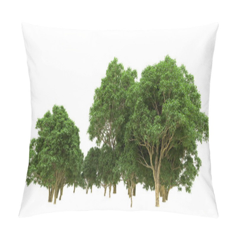 Personality  Green Forest Isolated. Useful For Banners And Posters. 3d Rendering. Pillow Covers