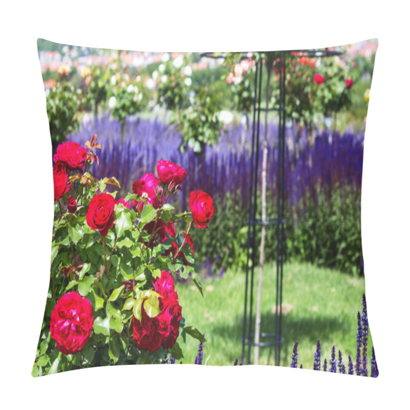 Personality  Red Roses And Blue Salvia Nemorosa In Rose Garden English Style Pillow Covers