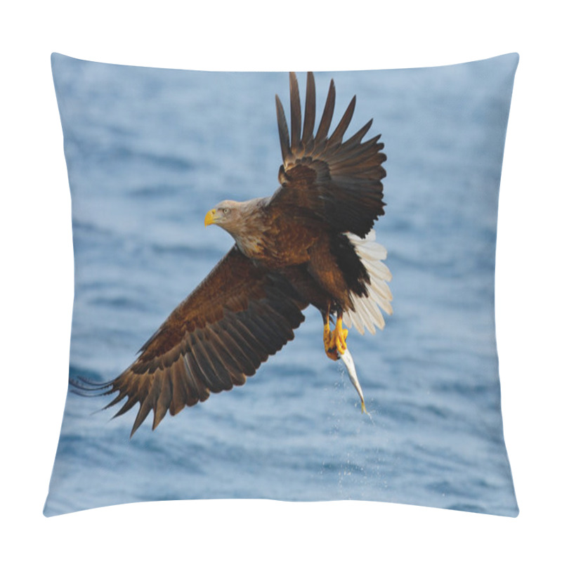 Personality  Flying Eagle With Fish Pillow Covers