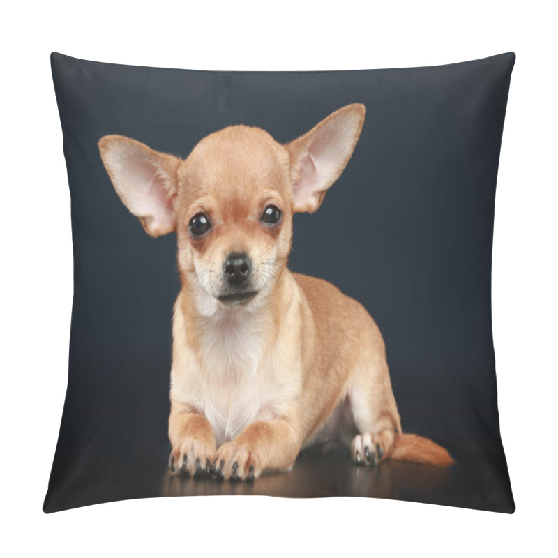 Personality  Chihuahua Puppy Lies On A Dark Background Pillow Covers