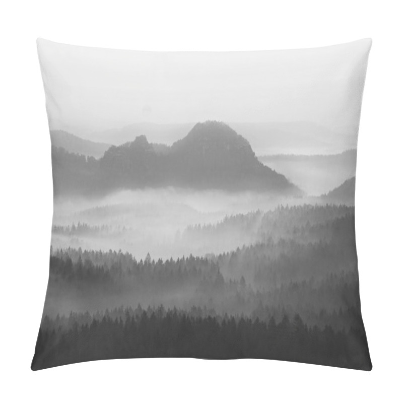 Personality  View Into Deep Misty Valley In German National Park. Trees Hidden In Foggy Gulch. Black And White Picture Pillow Covers