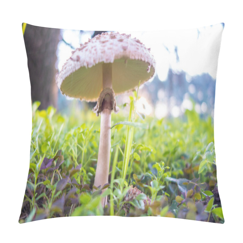 Personality  White Fungus In The Meadow Pillow Covers