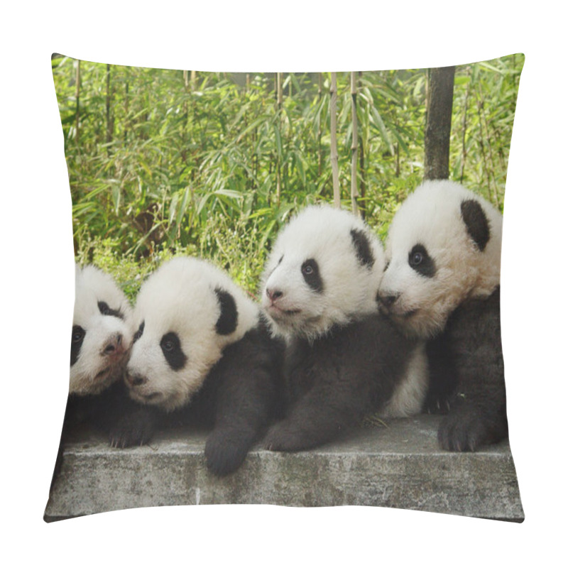 Personality  Four Baby Giant Pandas Play At China Conservation And Research Center For The Giant Panda In Wolong, Southwest Chinas Sichuan Province November 7, 2005.  Pillow Covers