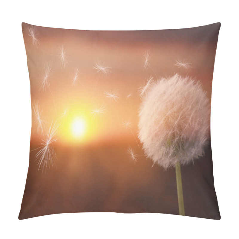 Personality  Beautiful Fluffy Dandelion Blowball And Flying Seeds Outdoors At Sunset  Pillow Covers