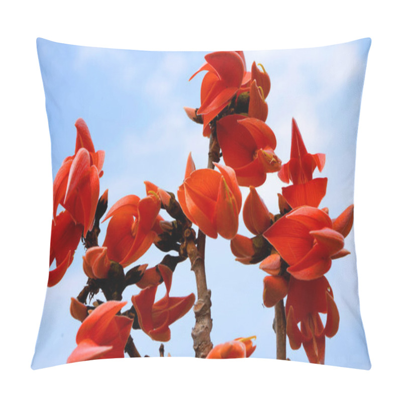 Personality  Butea Monosperma Or Palash Flower Pillow Covers