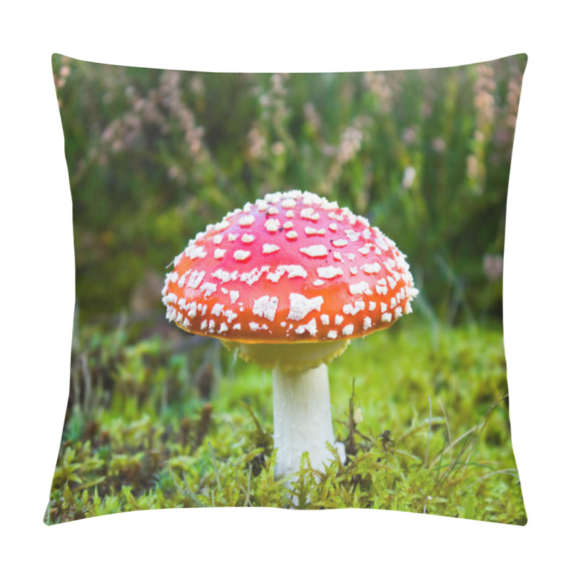 Personality  Fly Agaric In Moss Pillow Covers