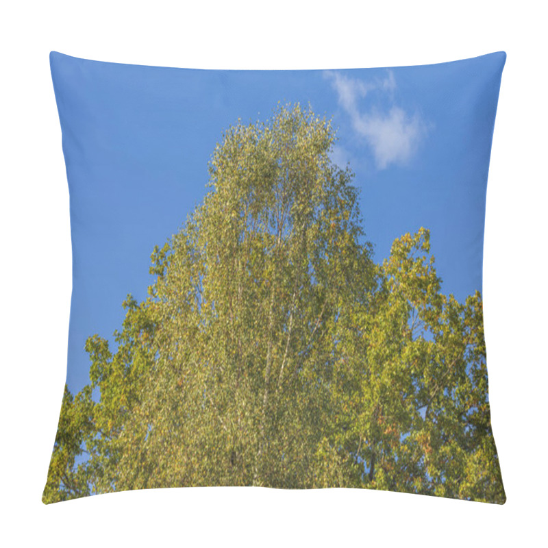 Personality  Close-up View Of Yellowed Leaves On Birch Tree On Sunny Autumn Day.  Pillow Covers