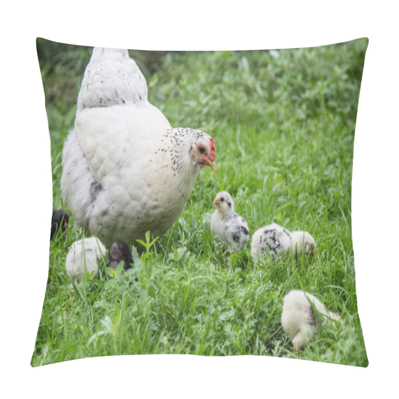 Personality  A White Hen Walks On The Green Grass With Her Chicks Pillow Covers