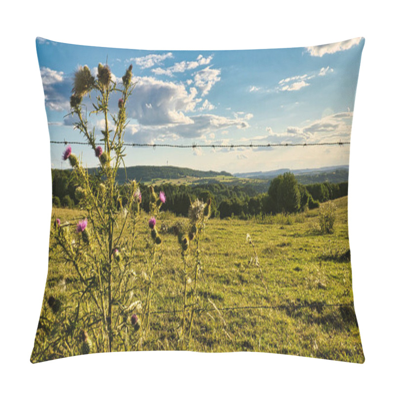 Personality  A Sunny Day In Saarland With A View Over Meadows Into The Valley. Some Sunny Clouds In The Sky And Cows Grazing. A Moment To Linger, Rest And Enjoy Pillow Covers