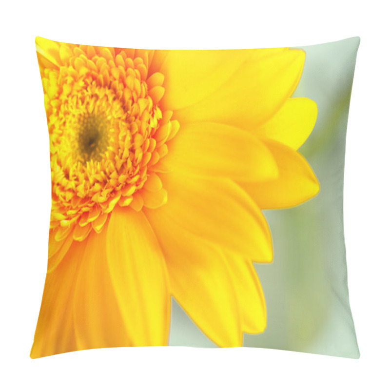 Personality  Yellow Gerbera Closeup Pillow Covers