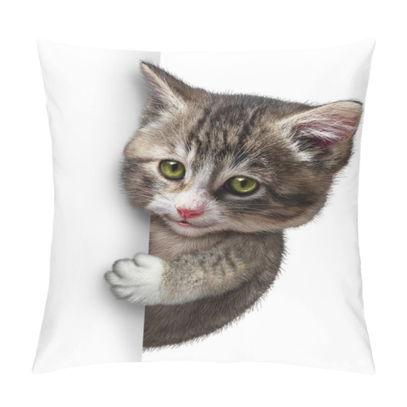 Personality  Cat With Blank Card Pillow Covers