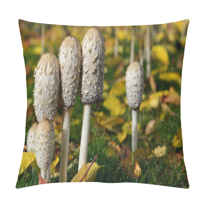 Personality  A Group Of Mushrooms, The Tintling (Coprinus Comatus), Grows In A Meadow In Autumn, With Colorful Leaves Around Them Pillow Covers