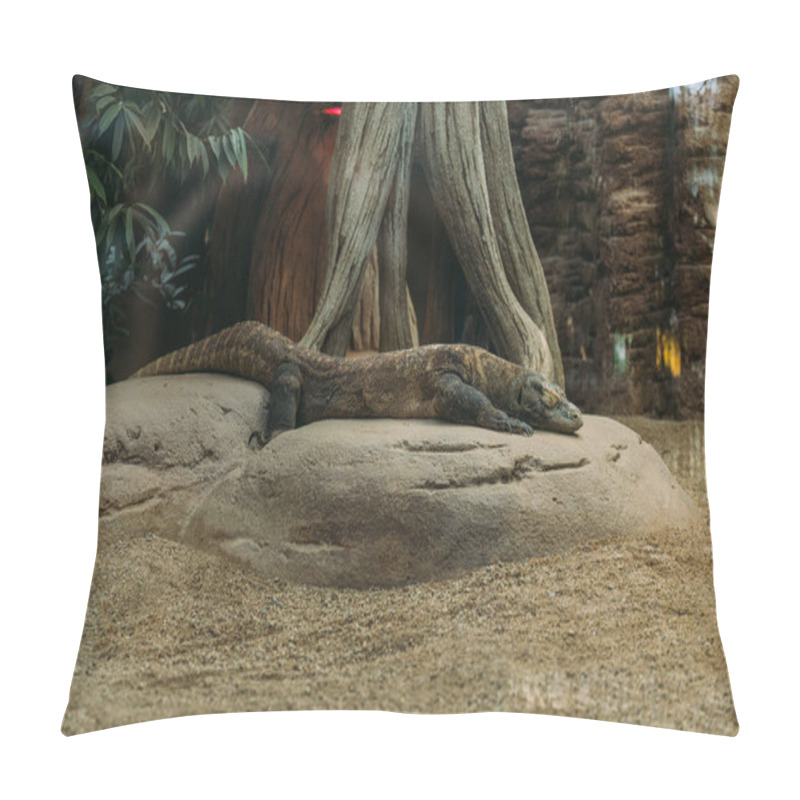 Personality  Varan Lying On Stone In Terrarium, Barcelona, Spain Pillow Covers