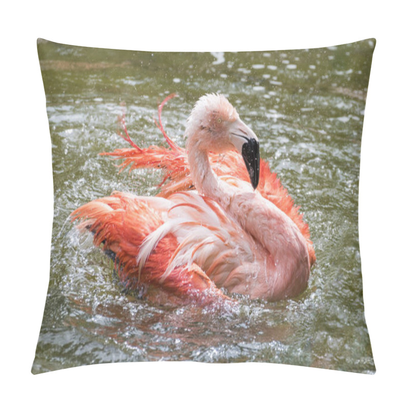 Personality  Scenic View Of Beautiful Flamingo Bird At Nature Pillow Covers