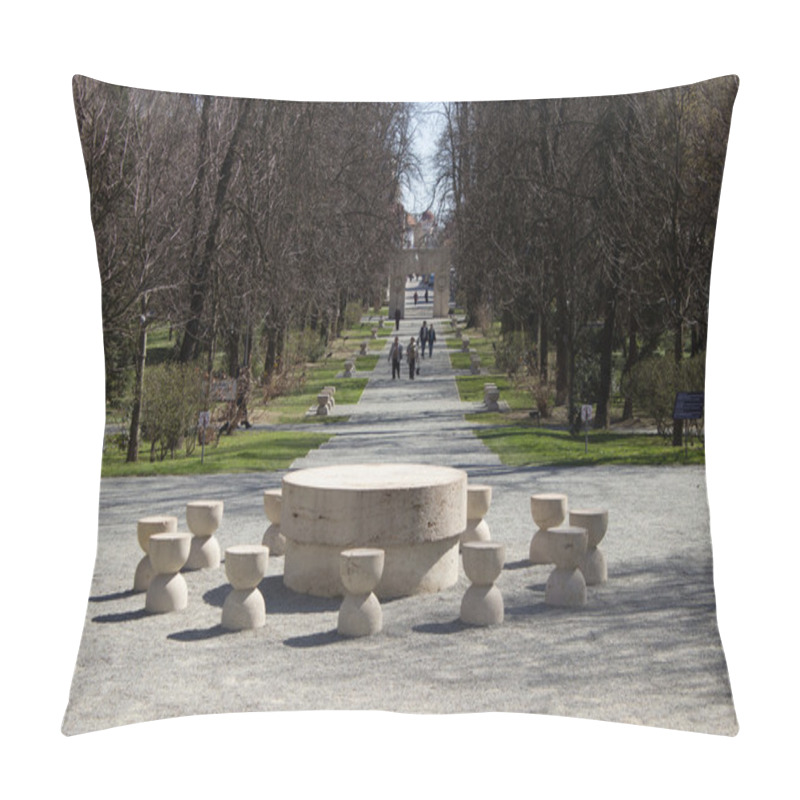 Personality  Constantin Brancusi Complex Pillow Covers