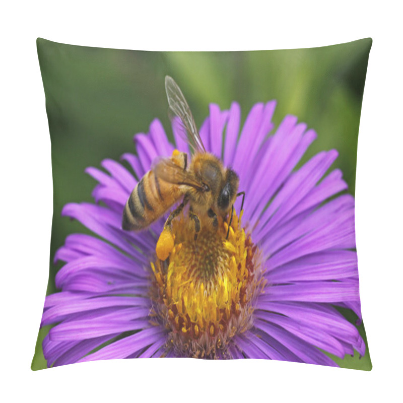 Personality  European Honey Bee On New England Aster Pillow Covers