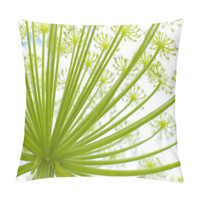 Personality  Giant Hogweed Pillow Covers