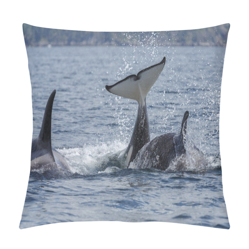 Personality  Jumping Orca Whales  Pillow Covers