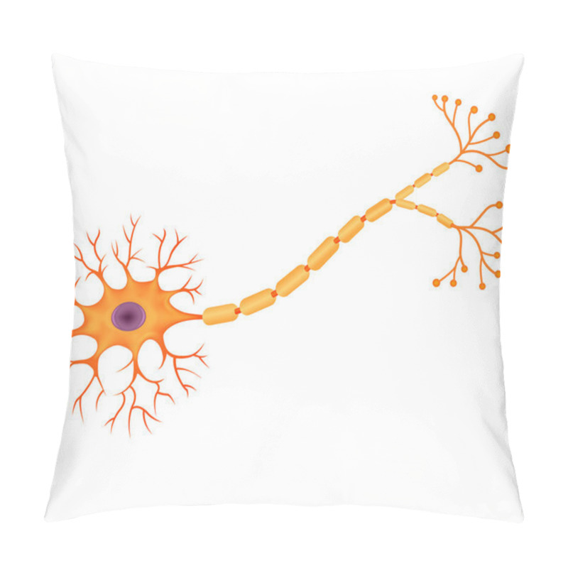 Personality  Illustration Of Human Neuron Anatomy Pillow Covers