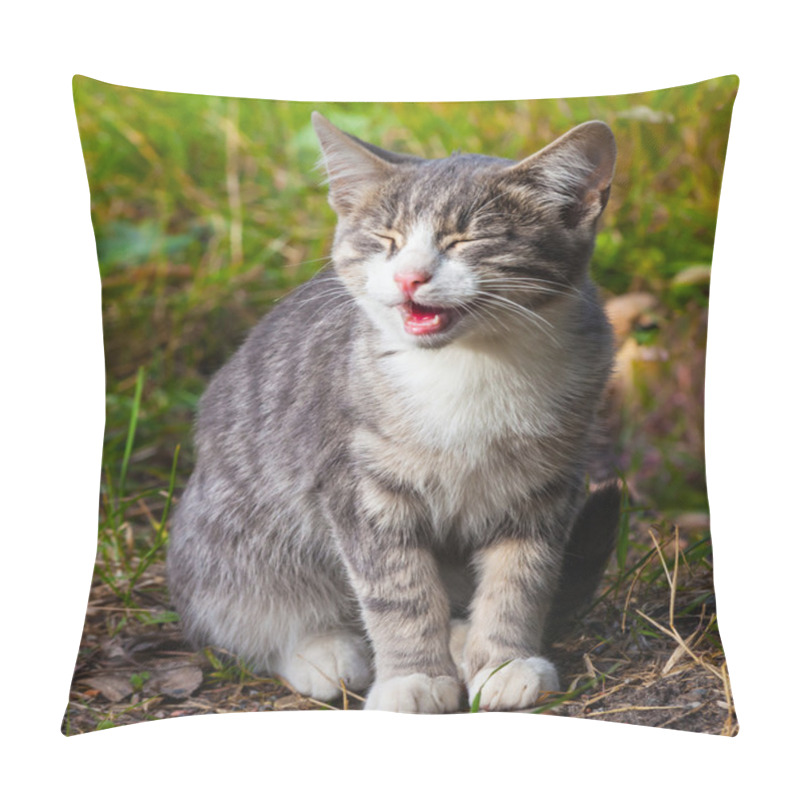 Personality  Cat Lies On The Grass With Closed Eyes Pillow Covers