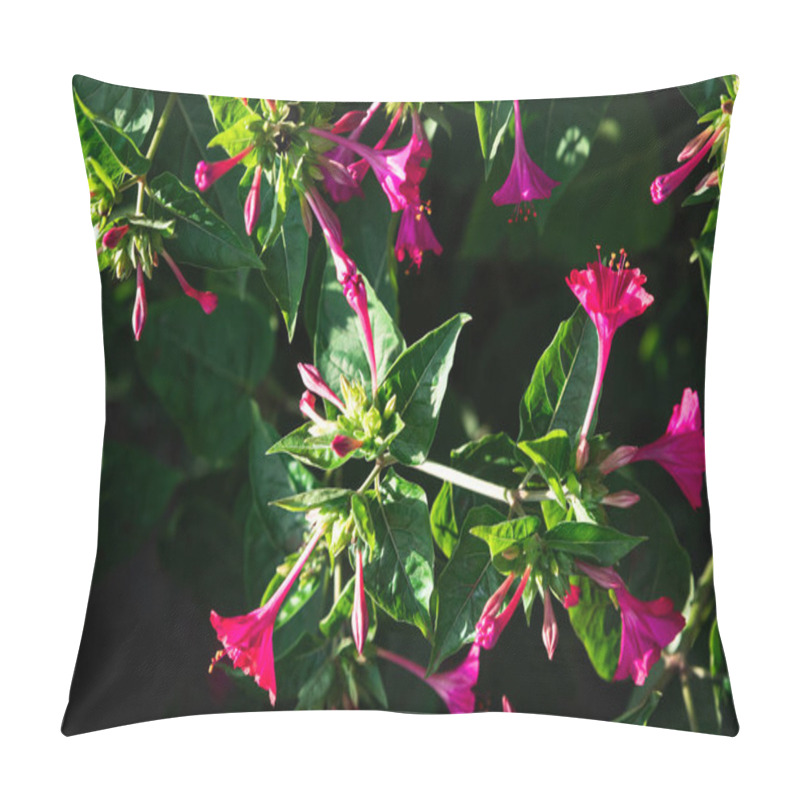 Personality  Four O'clock Flower (Mirabilis Jalapa) In Vibrant Pink, Poised Gracefully Among Lush Green Foliage, Evoking A Sense Of Vibrant Serenity, Symbolizing The Interplay Of Growth And Quiet Beauty Pillow Covers