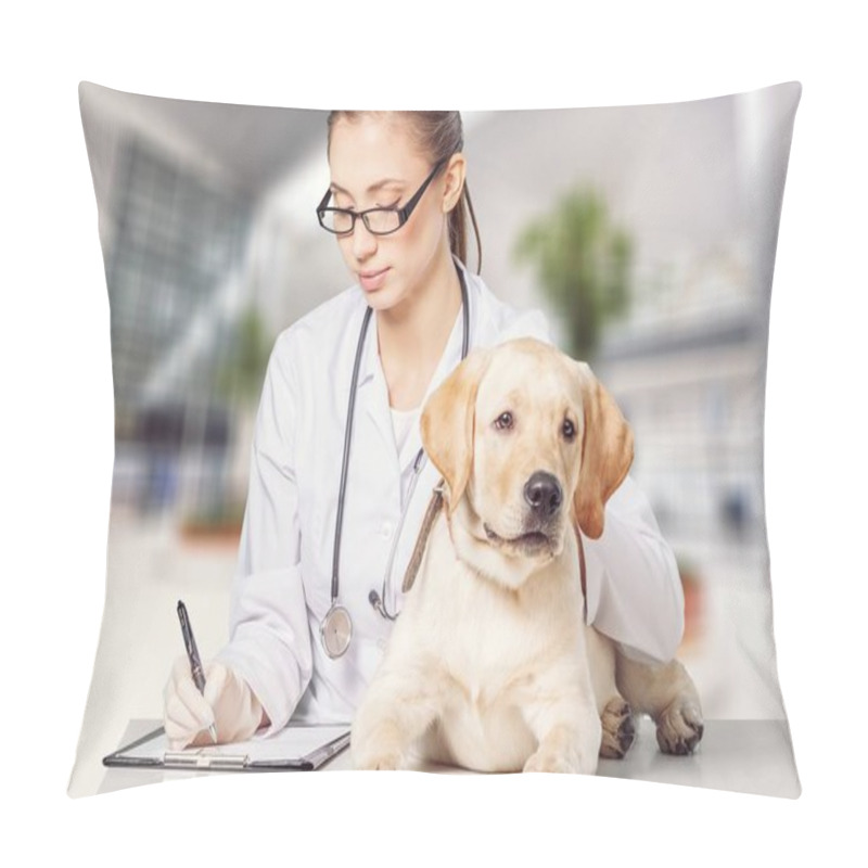 Personality  Young Female Veterinarian And Dog In Clinic  Pillow Covers