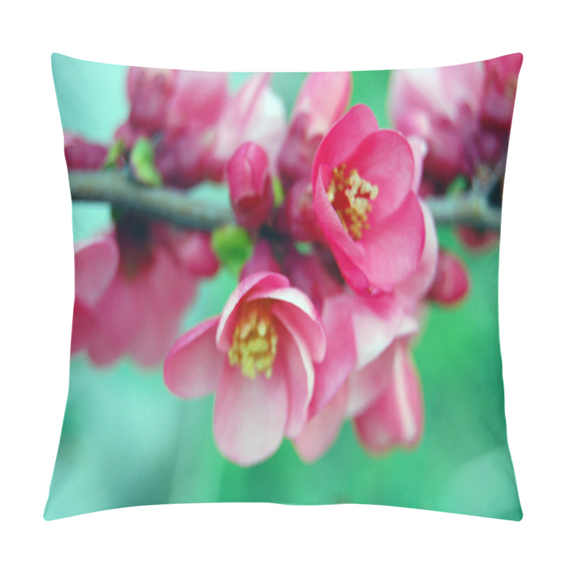 Personality  Beautiful Pink Spring Flowers Pillow Covers