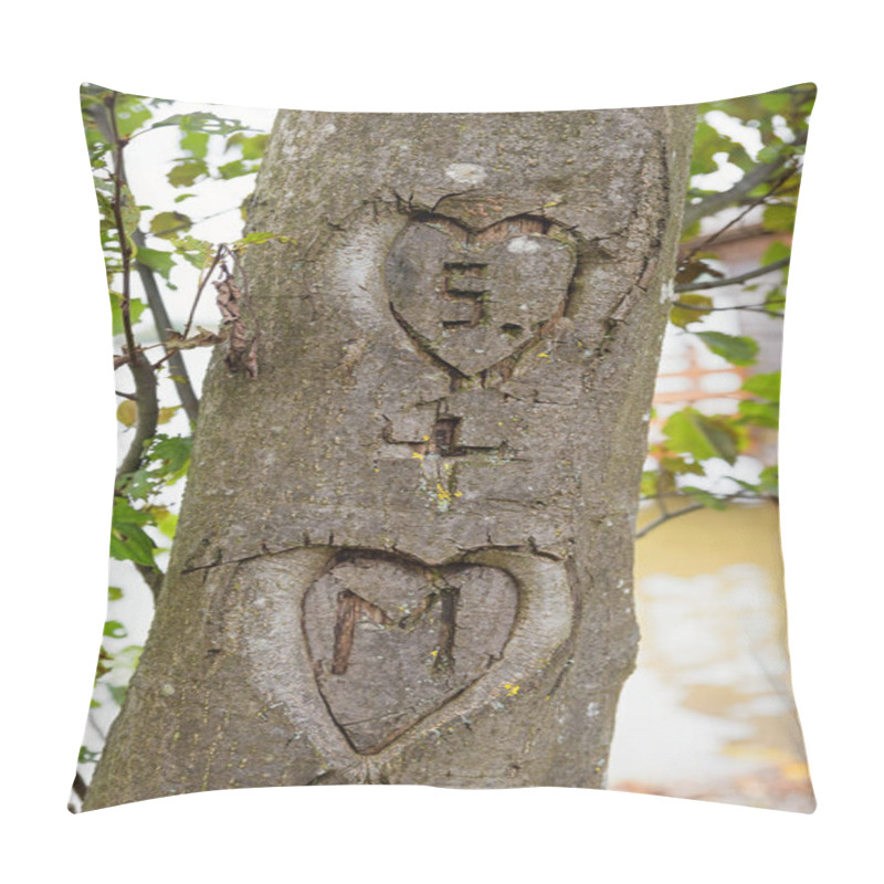 Personality  Two Hearts With Initials, Carved In A Tree Bark Pillow Covers